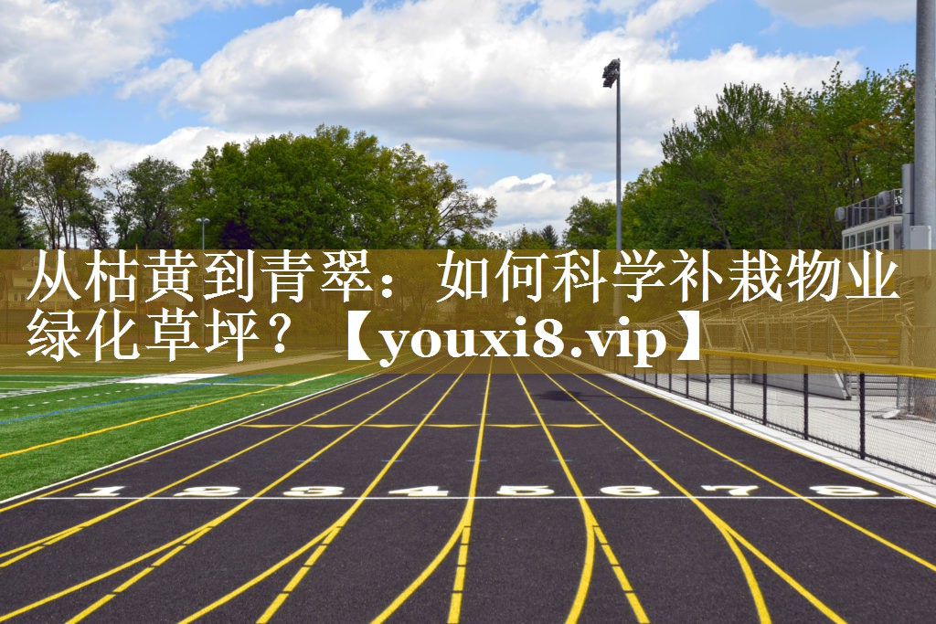 从枯黄到青翠：如何科学补栽物业绿化草坪？