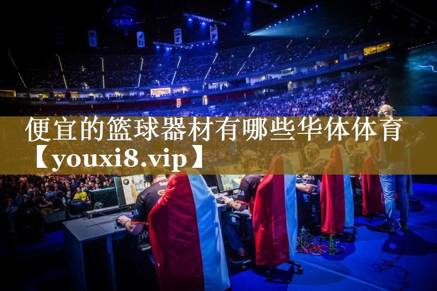 便宜的篮球器材有哪些华体体育