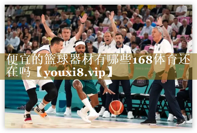 便宜的篮球器材有哪些168体育还在吗
