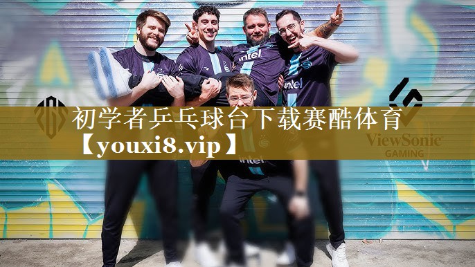 初学者乒乓球台下载赛酷体育