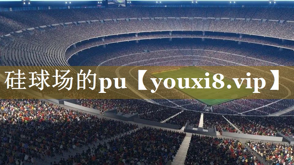 硅球场的pu 硅球场的pu